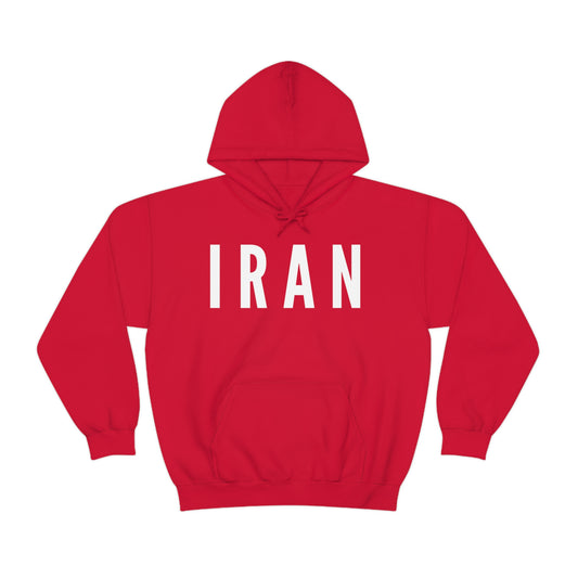 Support IRAN Unisex Heavy Blend™ Hooded Sweatshirt, Mahsa Amini Hoodie, MADE IN USA, 25% goes to Charity,