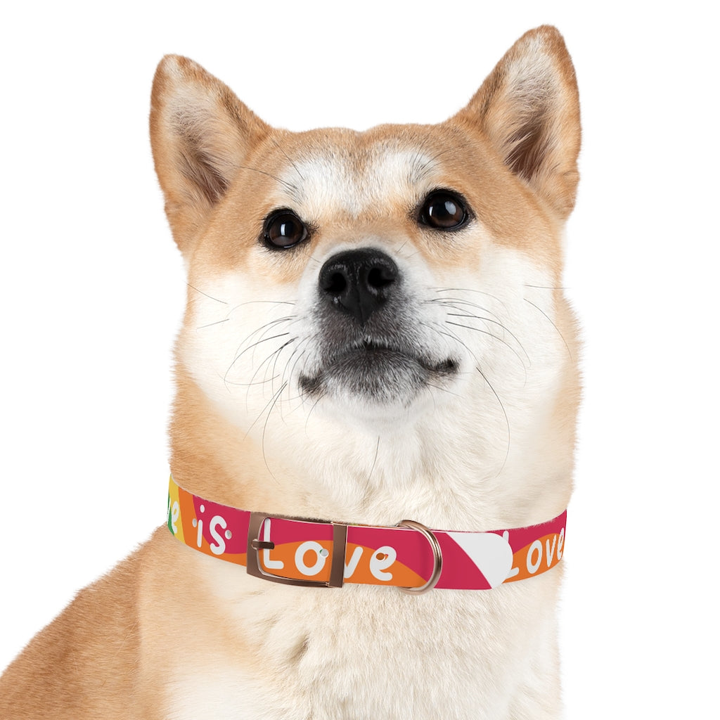 Pride Dog Collar