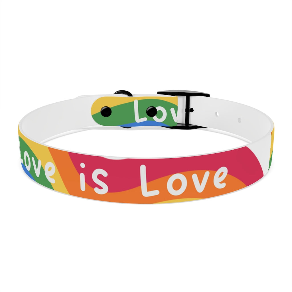 Pride Dog Collar