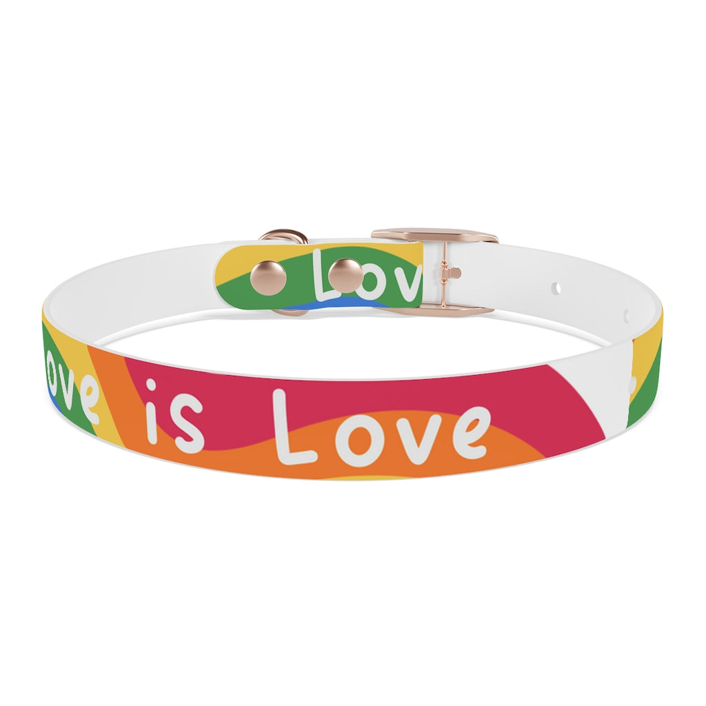 Pride Dog Collar