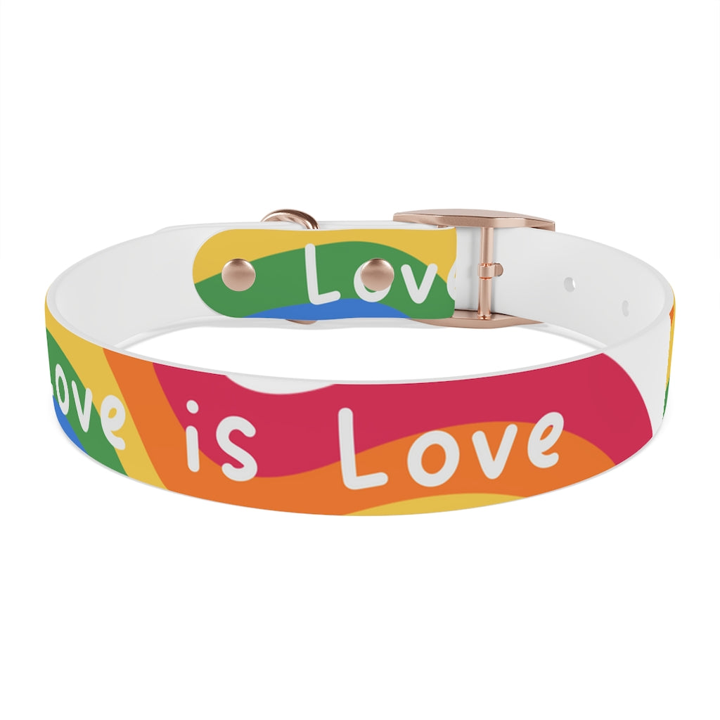 Pride Dog Collar