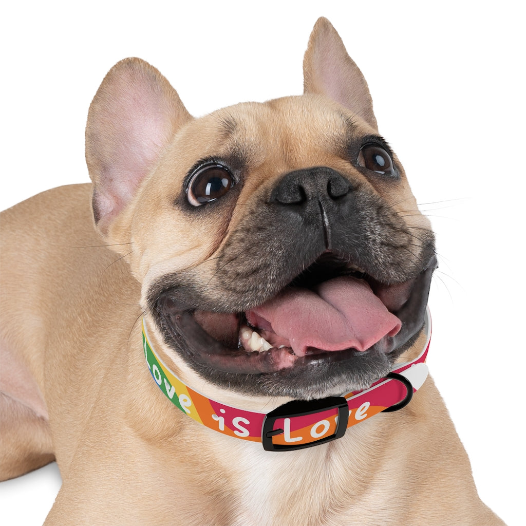 Pride Dog Collar