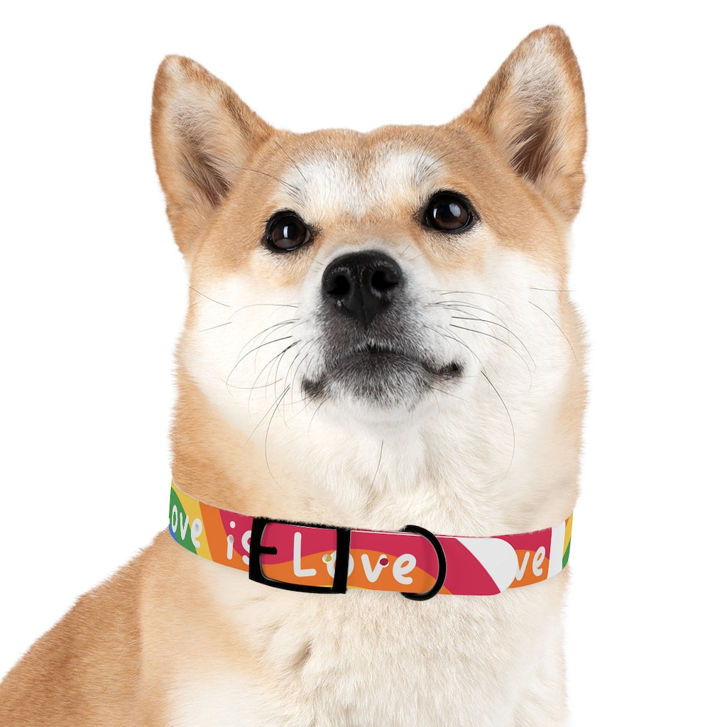 Pride Dog Collar