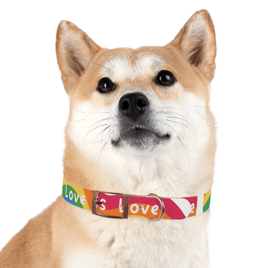 Pride Dog Collar