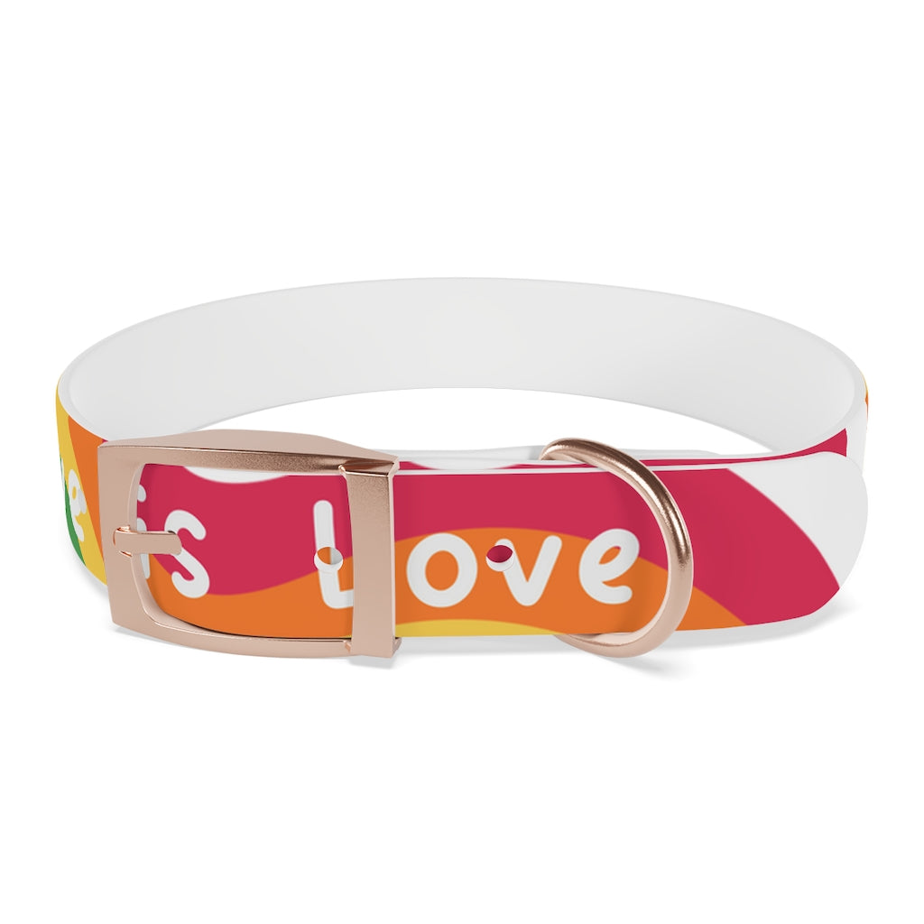 Pride Dog Collar