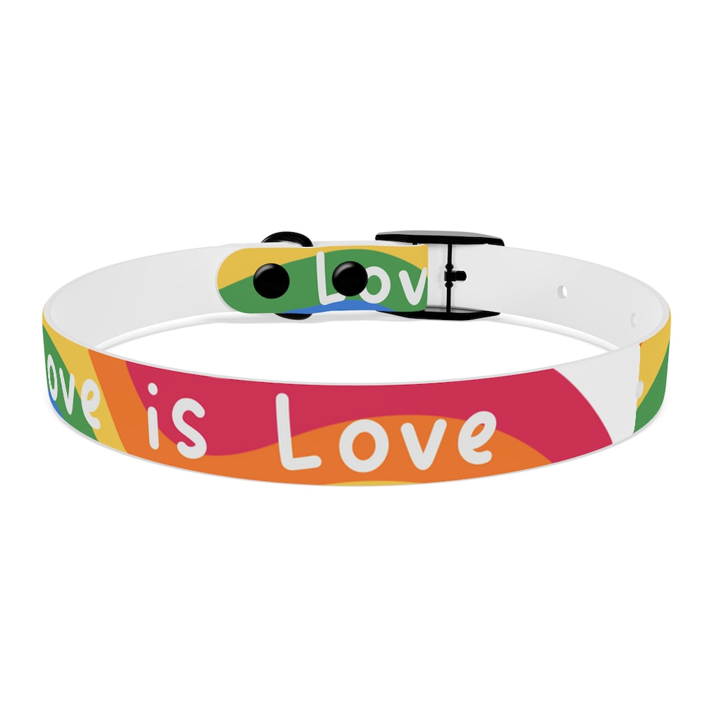 Pride Dog Collar