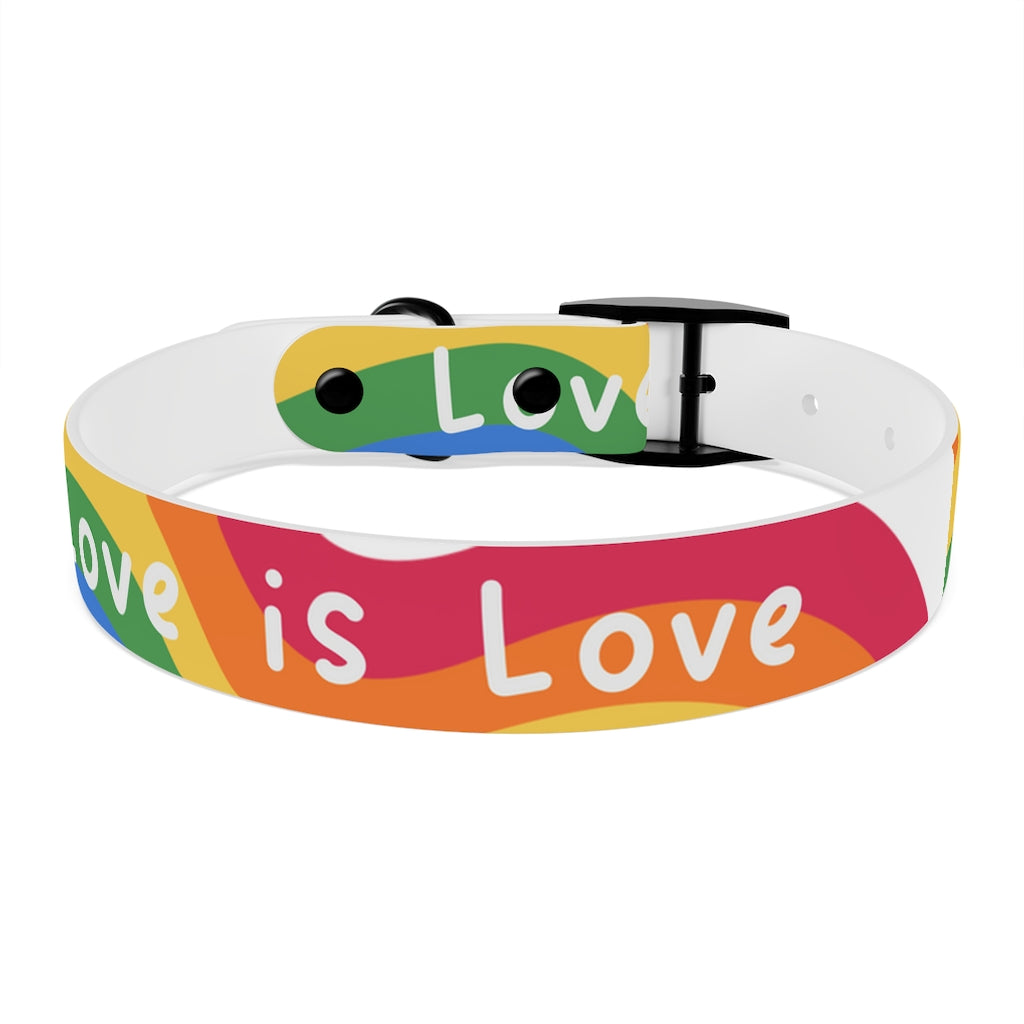 Pride Dog Collar