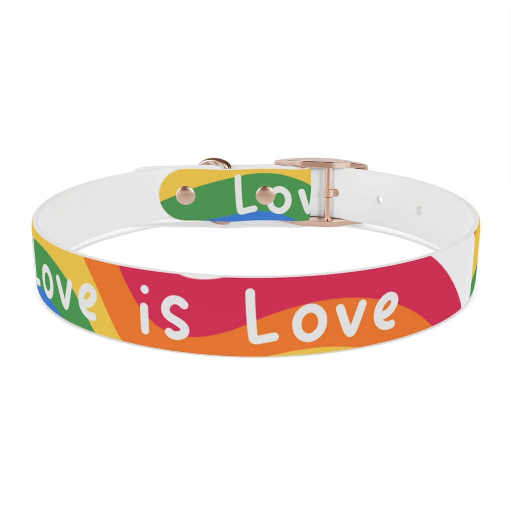 Pride Dog Collar