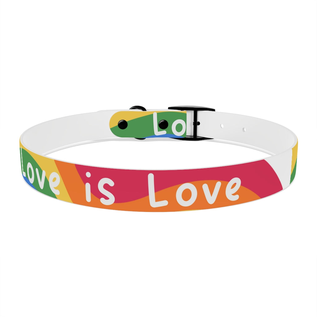 Pride Dog Collar