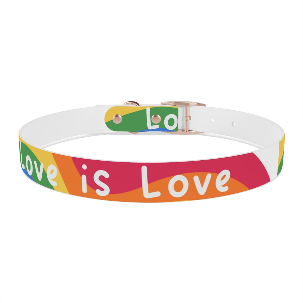 Pride Dog Collar