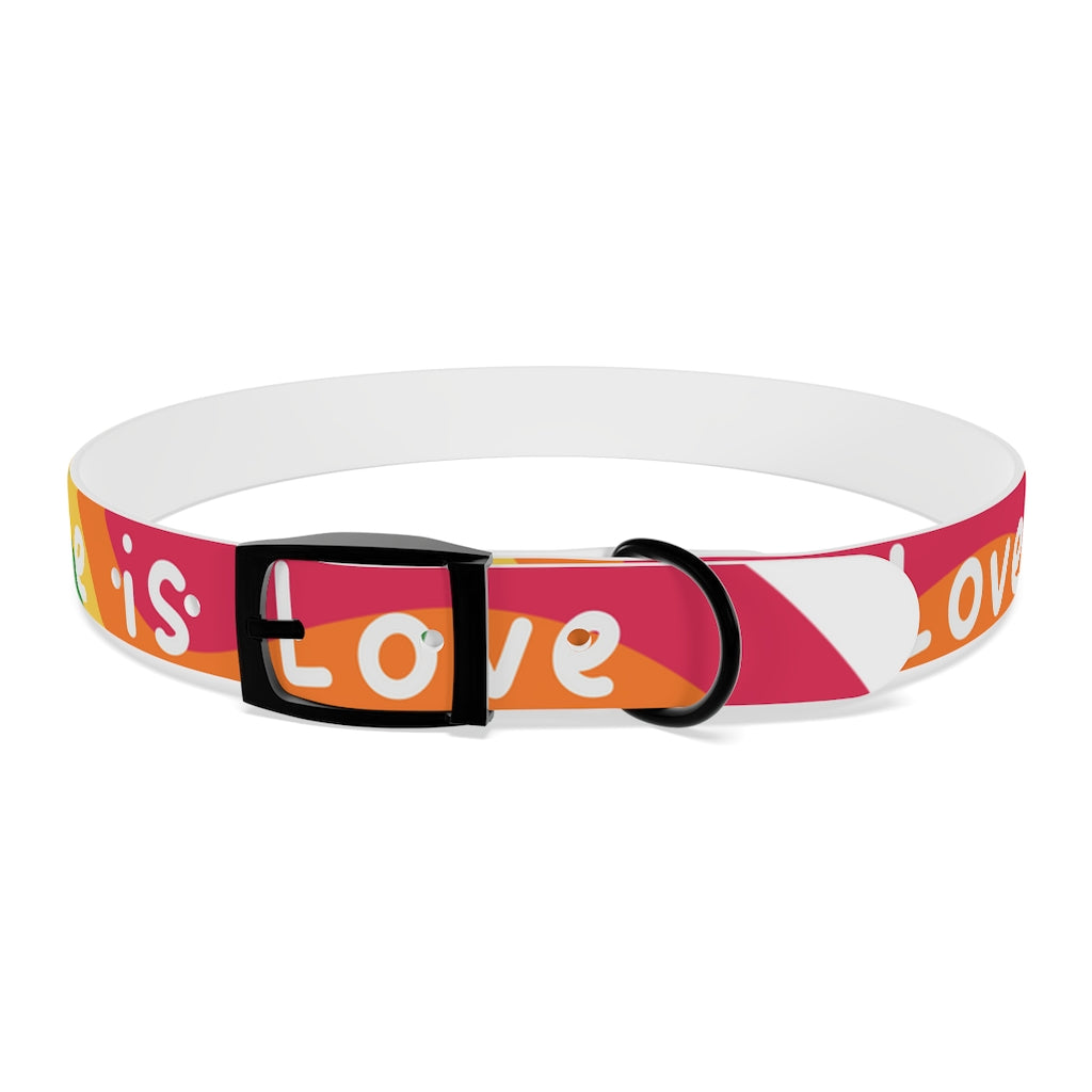 Pride Dog Collar