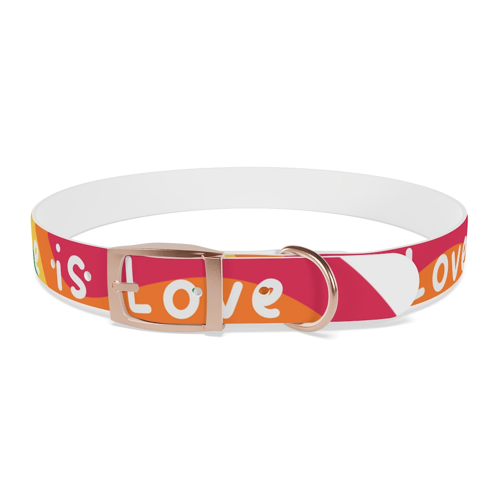 Pride Dog Collar